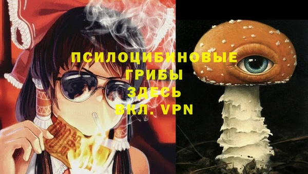 амф Володарск