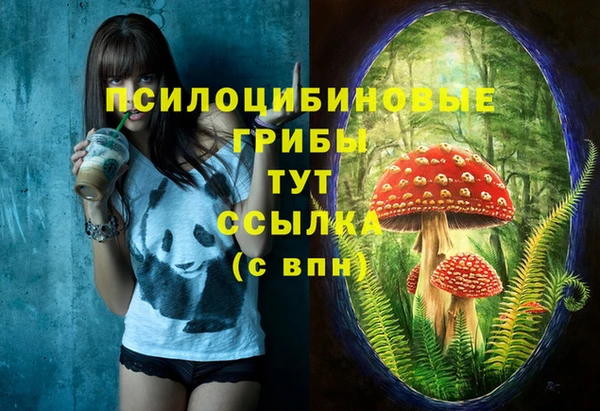 амф Володарск